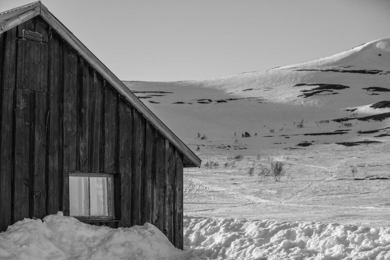 Skarvruets Hoegfjaellshotell Tänndalen Eksteriør billede