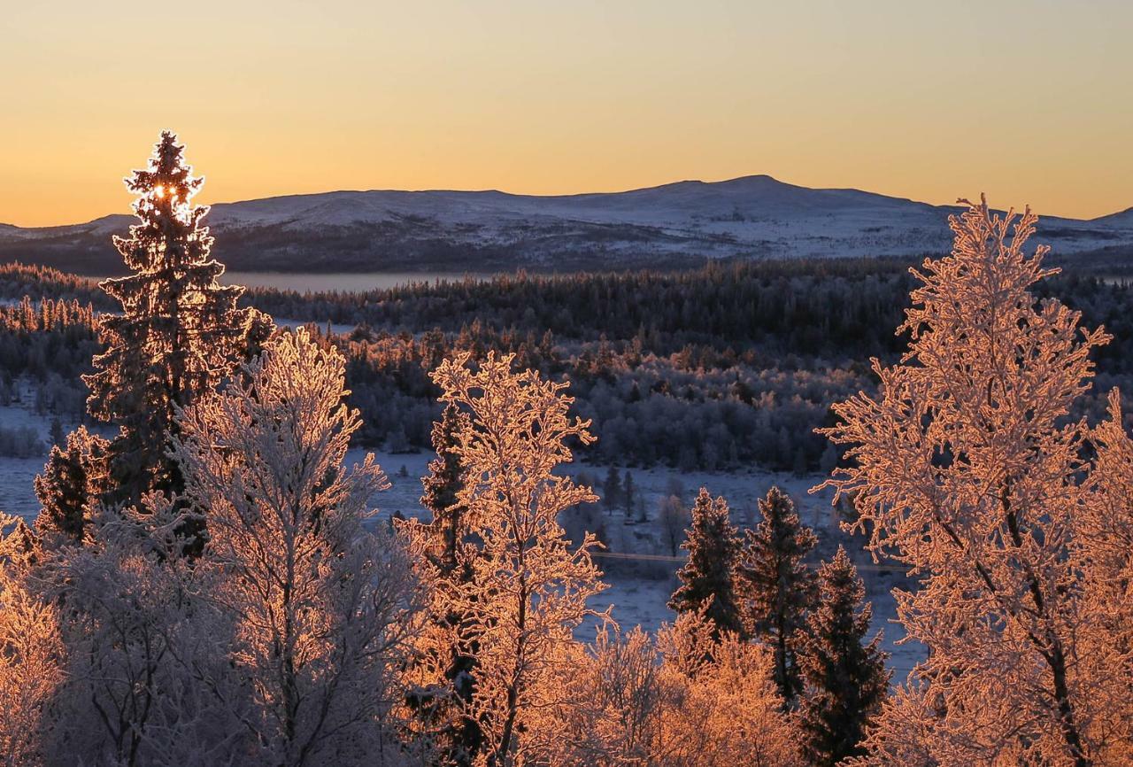 Skarvruets Hoegfjaellshotell Tänndalen Eksteriør billede